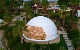 Glamping -420